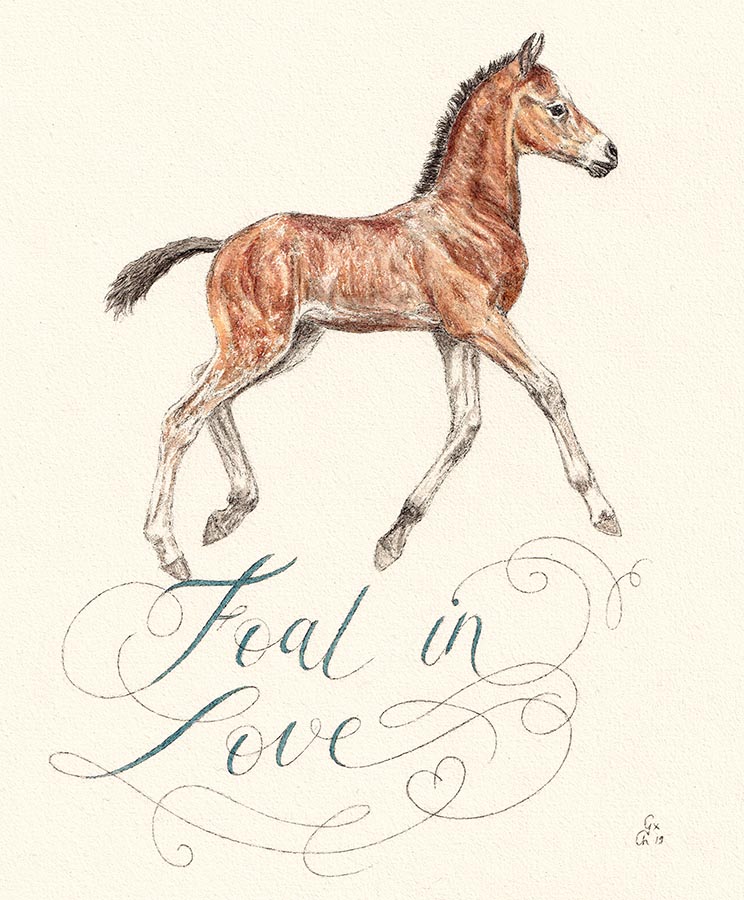 foal in love